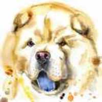 159ebd12cd15a1cec07aa9b6b0312d5fc408fc2c