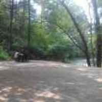 D5a13852043c0e1901d52038b2f877c46f891244