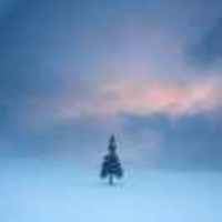 25d94ea5266a3c6d57a42da7eb176cc5641e4a34