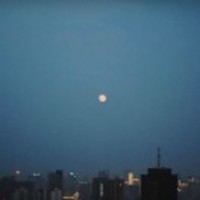 3d095fa6284ddcbe156c2a3555e09bec0e5c8182