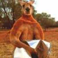 A228b78f6c0ee464b4e466ade7bc048846094a3a