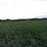 21033fdfaa4ac55e7acd5d132593d36bec7996c7