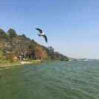 96695b138d5e05911b79aabd03af219a40335b46