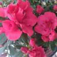 2e95db9490c5d3118e72f7be00cdce00d9e76c90