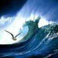 Fa9c8d659da20a92f2bf907cd585e30e2f6edd12