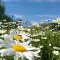 8a6d846e15bc7c5dd3a352af7f05308ba68834b2