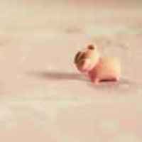 4572092a152c795003f6cbde7d711accf5d48c6c