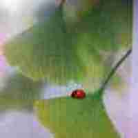 D7ac106cd7862c871b5aa78a508562ba9a0b8979