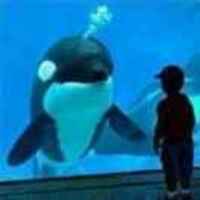 A23348c5381075a46ce783d3975abc69b847dcf4