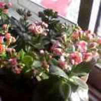 0baad7b6be84f1ce34391f8278bfe35af98190f1