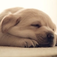 6a61edb5fc119c252a773d5891b98ee7ca98f4c6