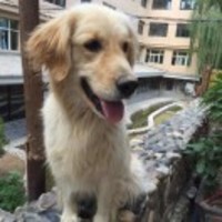 98b419fe4595ada06c3a6042b959c5c237fcc9f0