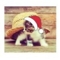 E50f7c59761a4860fc72428c6ae4342473196d47