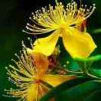 C8cbaedae4da04b21f0f9b1cf1eebe69efd4dd86