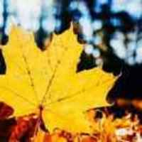 575e4e5923ee142d4230d275105ff6bd99635b25