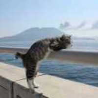 D904a643b0609a745b2e2c2b2efdafa153f6338e