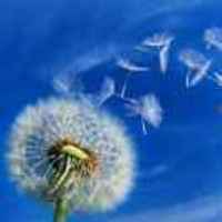 Ce72ca80055e65653c1e1affcbe9299a6ed80a9e