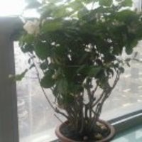 C48279f4d1c8abe13fbd4f148c4b092bff4c0395