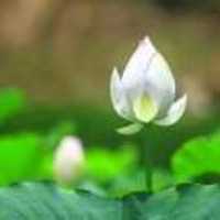 090096c4de07a99b7fab1d5729cd333844f6992c