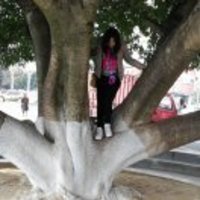 Cc2acd300edb4d835524128d946eceebfcde35df