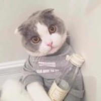 8f537b1223be22d82f61936c57d944108e7f3d08