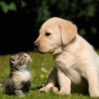 B5851371963ea5294ee732baee7625464137aea5