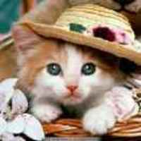 8677563bea6ff411946852dd76febbb8e2ef9af1