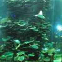 Db29b7bfc8ad474df9af23841d5616c887d5e811