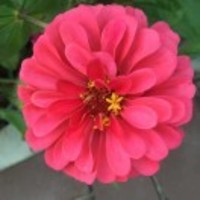 Ceb08c5a4dc02cc5ecdb244d4b46fe43cdcc0ba6