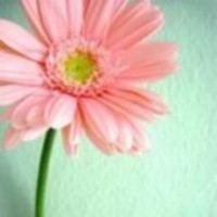 0aad1d409766149307c344c6667f0608a6b882a7