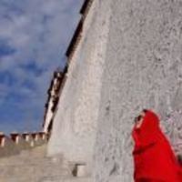 7eea0d54509c59b5c5270c30b8527c8358380bd0