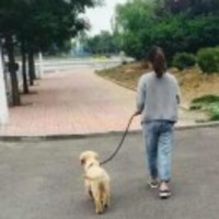 5cd94dfd448b3d4f8a844c001ba9d132246f6530