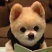 7438d70938400bb7405adf6ba8dca5d884e6a025