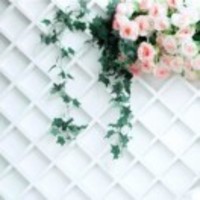 Af55dac3ae1e1d5c0e75a778c9ade0f985e1bf9f