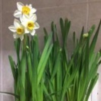 A9ef502a749ab104fe2feb08b33ab2a85a4bfeae