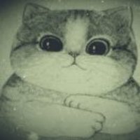 C032c8e91bed00d374ccae851690cb542488b550