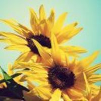 D3182dfbc462d43cf2752fc2d64828a12ae51226