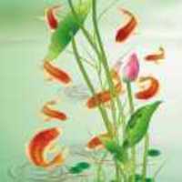 E4802edae66d77cbb77251d1dd707016f8ae9535