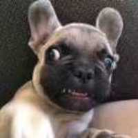 61baa63303972a656e2cb3dcf1dd3c07e875fb3a