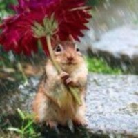 059b9de9635e2e12ba6fbbbda282b32f561b9f44