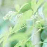 638fd13e6eb444820df70e6a91fce3dff10cddc6