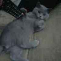 9e2b8133c423c85b2d1e220f768f604552def86d