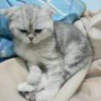 9ff1f46f59358827ce81392361ffdc2d713ceb25