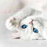 24a25a9dbfd1812c8892478e83b9e6f39c218015