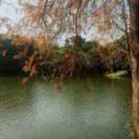 1d163ee38f1355ddeabb0983e0a922103ce65c14