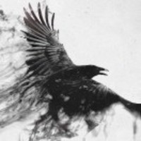 6cb560e7ac57b28d1c33f19e5486a4e5ddb1de00