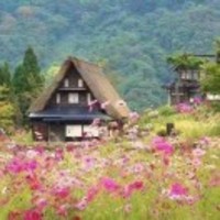 8a527299867efc5640a7c6a2cba28b038e788beb