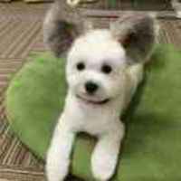 70aaab77c25c62887e4018ce4b791fdcac3e8bfa