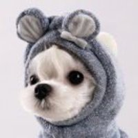 D5ad086c5917c79894fd7f98fa0fa9d578176f89