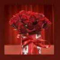 B3b9ab5e9c6adb2b95802d80d06b0d364153eb16